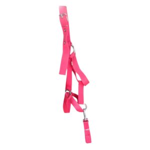 Bozal de Cinta Reforzado Color Rosado